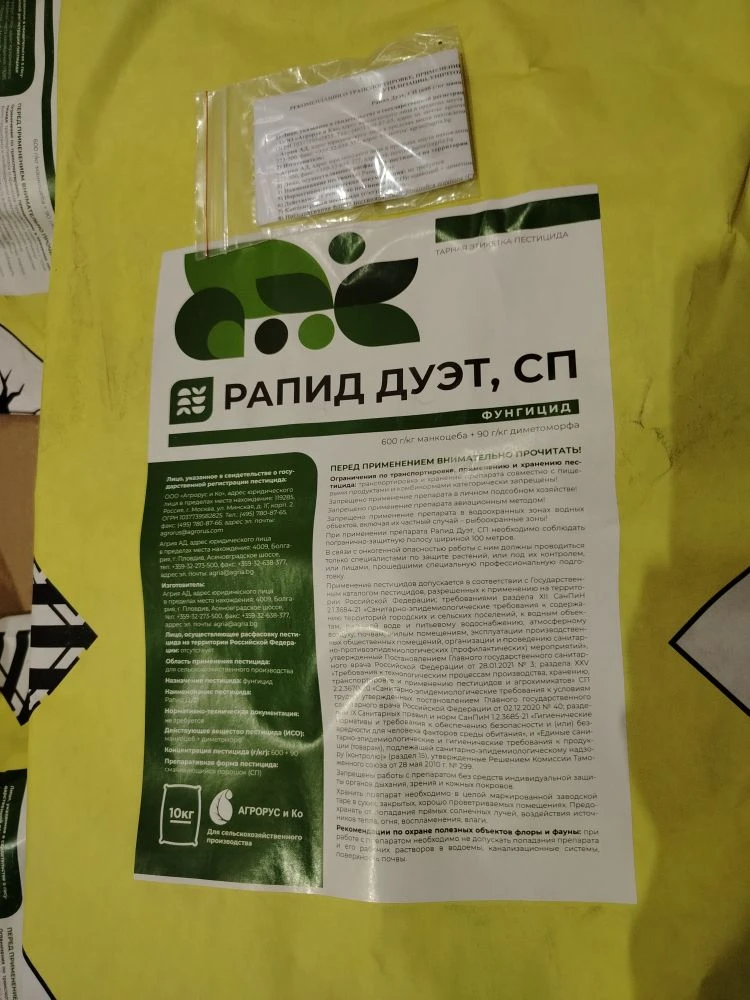 Рапид Дуэт, СП