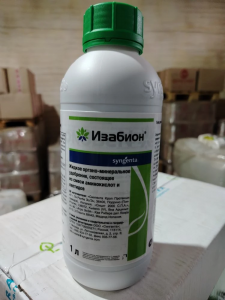Изабион, ВР