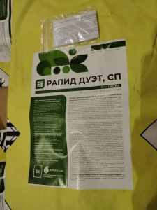 Рапид Дуэт, СП