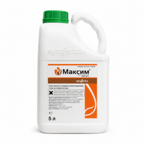 Максим, КС